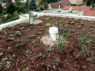 Ukázka realizace zelené střechy ve Velkých Popovicích